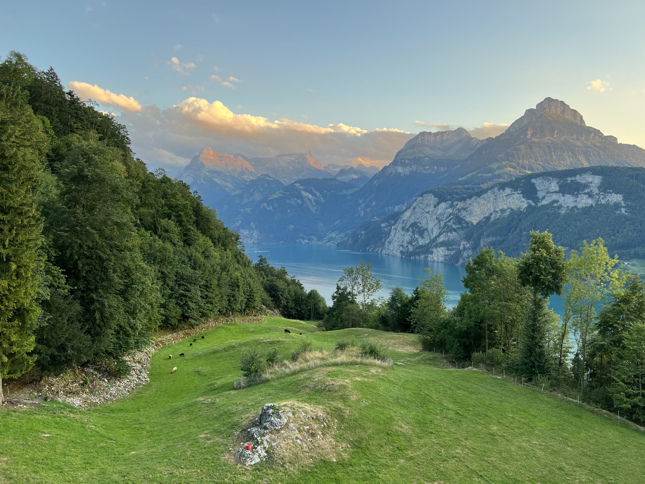 Seminar im Sommer
